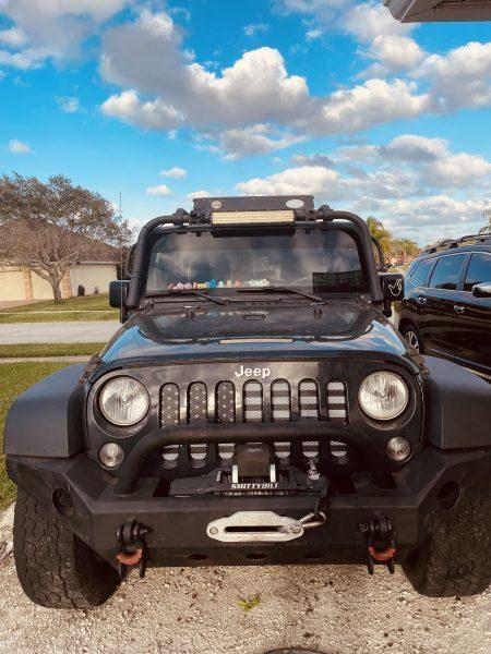 Rhino Rubicon 2016