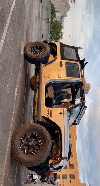 2010 JKU