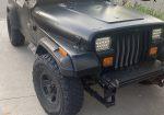 1995 Jeep YJ for sale