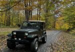 1995 Jeep Wrangler Sahara