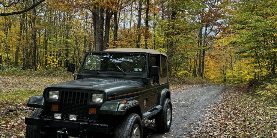 1995 Jeep Wrangler Sahara