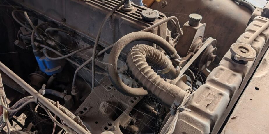 1982 Wrangler