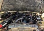 1979 Cherokee Chief