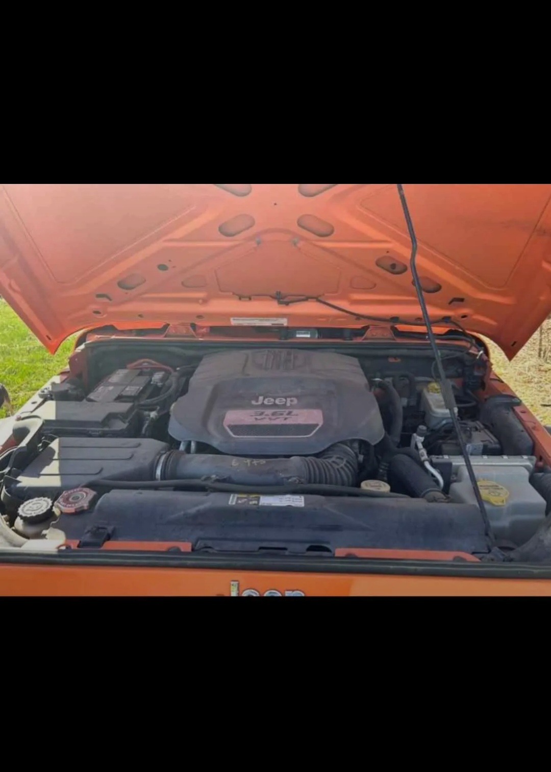 Orange Crush Sport Wrangler