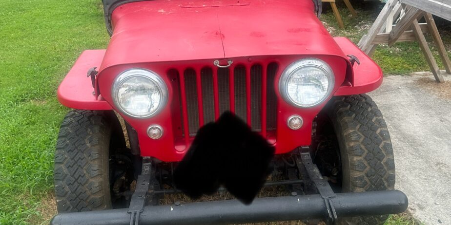 1962 Jeep cj5