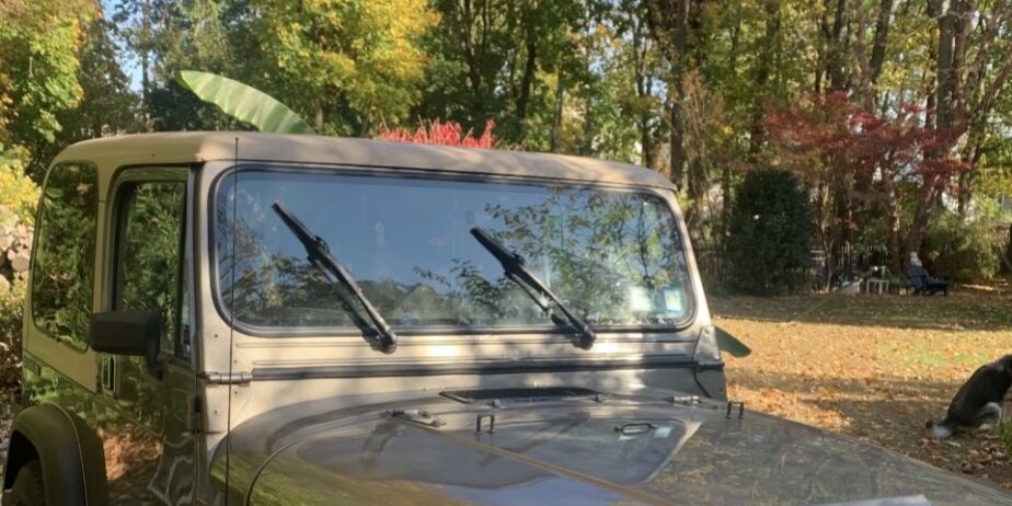 Wrangler Sahara 89