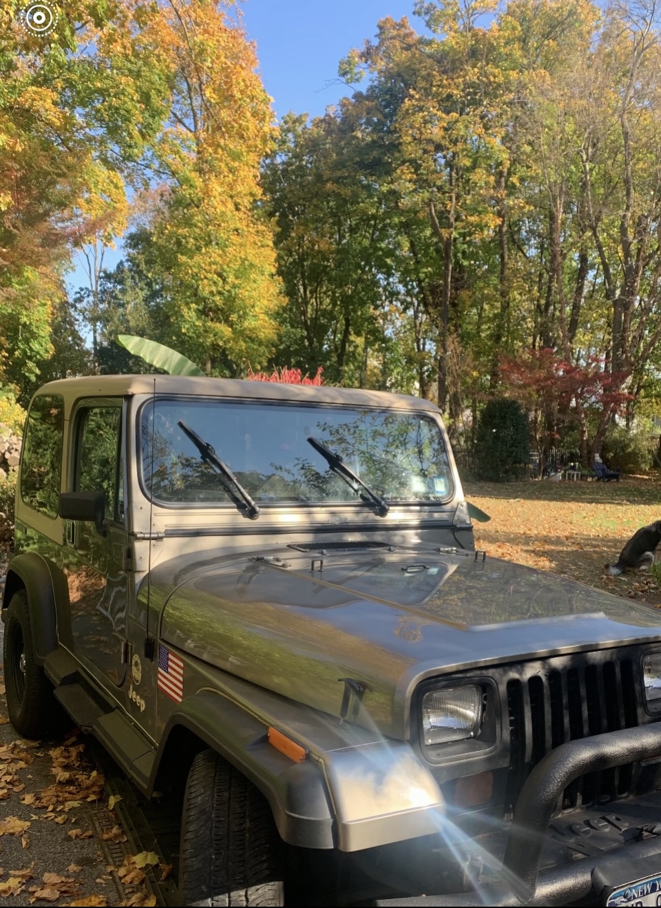 Wrangler Sahara 89